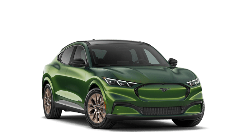 Mustang Mach-E® vehicle